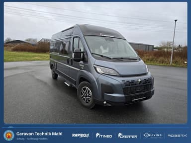 Dreamer Select D55 Saphir